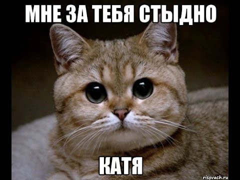 А кушать то хочется