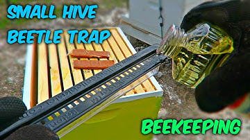 Easy Small Hive Beetle Trap - Beekeeping