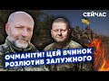 БЕРЕЗА: Спливли НОВІ ДЕТАЛІ ВІДСТАВКИ Залужного! На ГЕНЕРАЛА злили КОМПРОМАТ. Зеленський НЕ ВИТРИМАВ