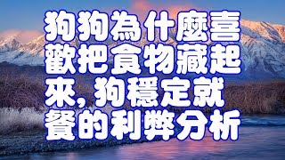 狗狗為什麼喜歡把食物藏起來,狗穩定就餐的利弊分析 狗狗為什麼喜歡把食物藏起來,狗穩定就餐的利弊分析