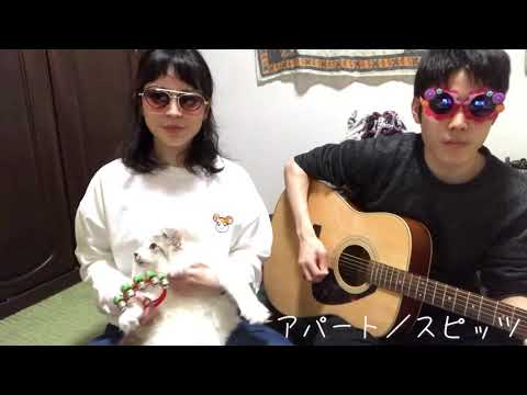 アパート／スピッツ（cover）
