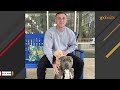 One-eared dog changes toy to make it look like him