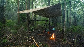 Heavy rain falling in the bamboo forest Not prepared Emergency camping, almost didn't survive!