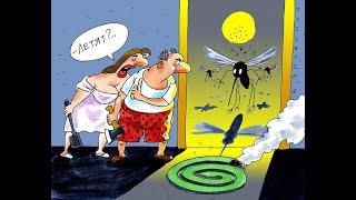 Комарики комарики #Shorts Mosquitoes gnats