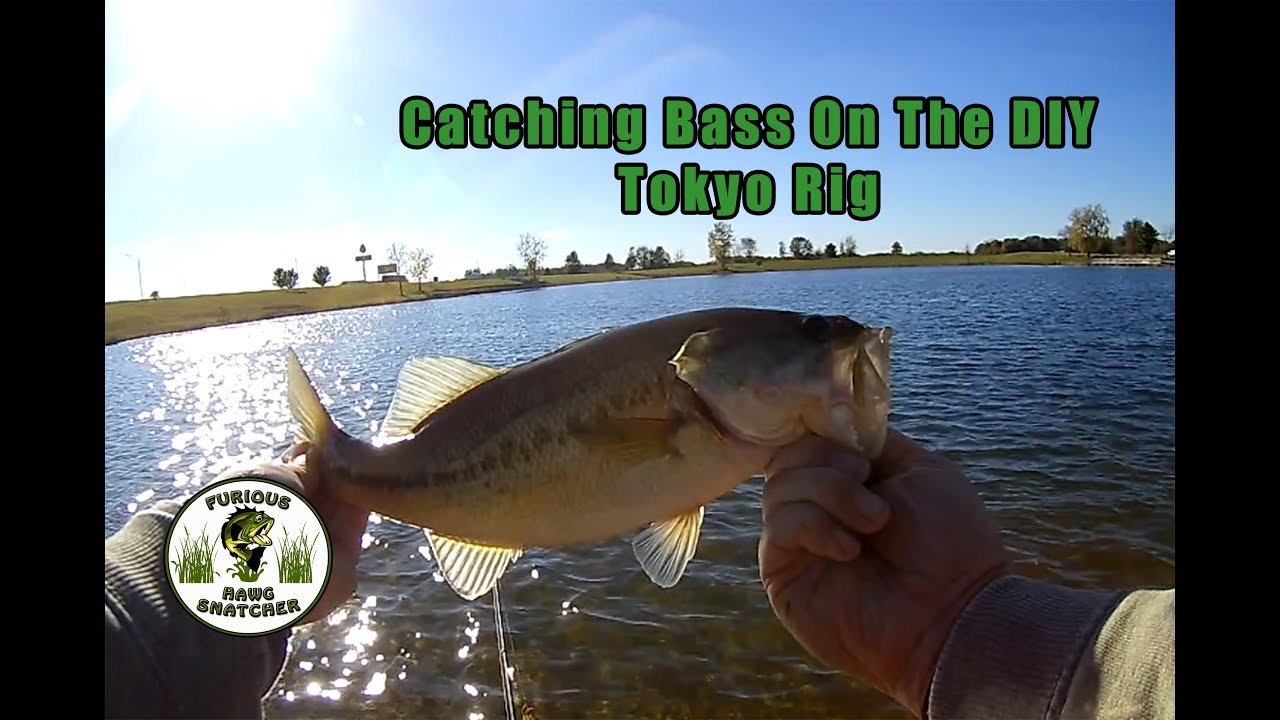 Fishing The DIY Tokyo Rig - YouTube