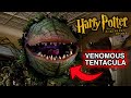 Fighting The Venomous Tentacula! [Harry Potter and the Philosopher's Stone] Part 8