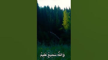 تلاوة تهز القلوب 💔 | آيات من القرآن الكريم بصوت مؤثر