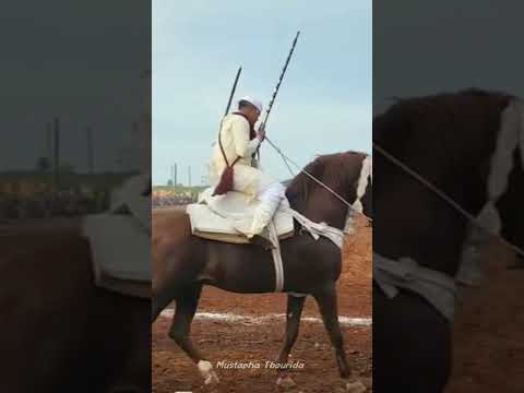 ماشاء الله تبارك الرحمان المقدم الشآب محمد سعد من فعاليات مهرجان أصيل أنفا