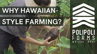 Benefits of Hawaiian-Style Farming