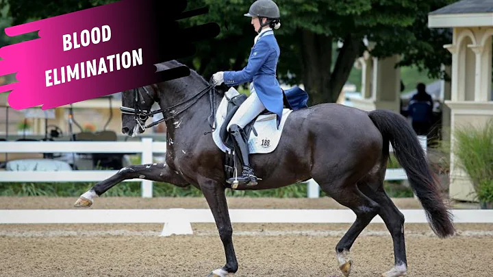 Dressage Disaster: Alice Tarjan Eliminated For Blo...