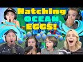 Hatching OCEAN EGGS!! We Play the Roblox Adopt Me Update! Best Pet Wins Special Surprise!