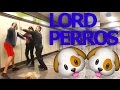 Lord Perros - Transeunte agrede a Policias del Metro por su mascota