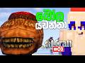 මුළු World එකටම ආපු අමුතු Raid එක | RLCraft Minecraft Sinhala Survival | EP 03
