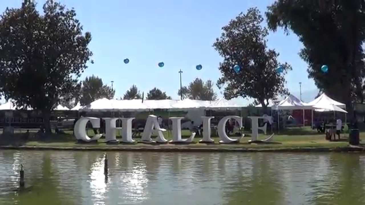 DABS, GLASS, MUSIC | Chalice Festival | CoralReefer