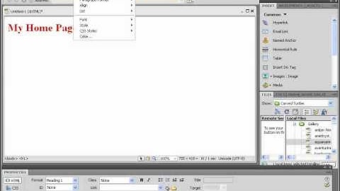 Dreamweaver CS5 Tutorial Aligning Text Adobe Training Lesson 3.5