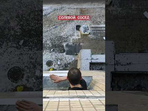 Солевой сосед #shorts