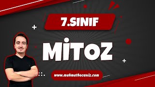 Mi̇toz 7.Sinif