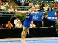 Men Competition - Recap - 2004 Pacific Alliance Gymnastics Championships