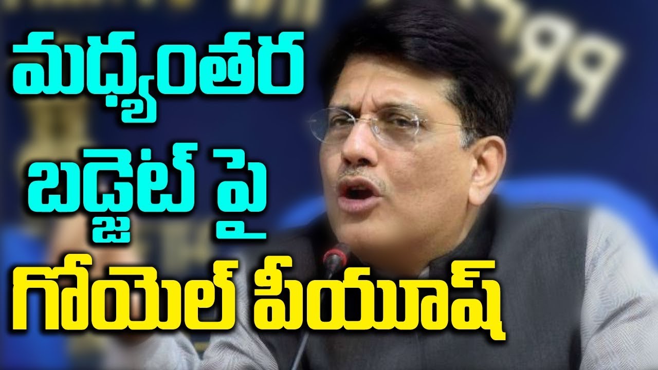 Union Finance Minister Piyush Goyal Comments On Vote On Interim Budget 2019