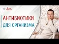 Влияние антибиотиков на организм | Кишечник и иммунитет | Здоровый организм | Арина Никитина