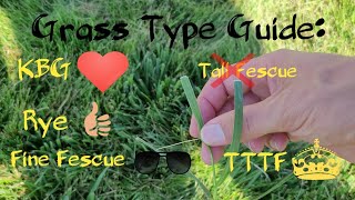 Guide To Cool Season Grasses: Understanding The Different Grass Types #lawncare #grassseed #grass