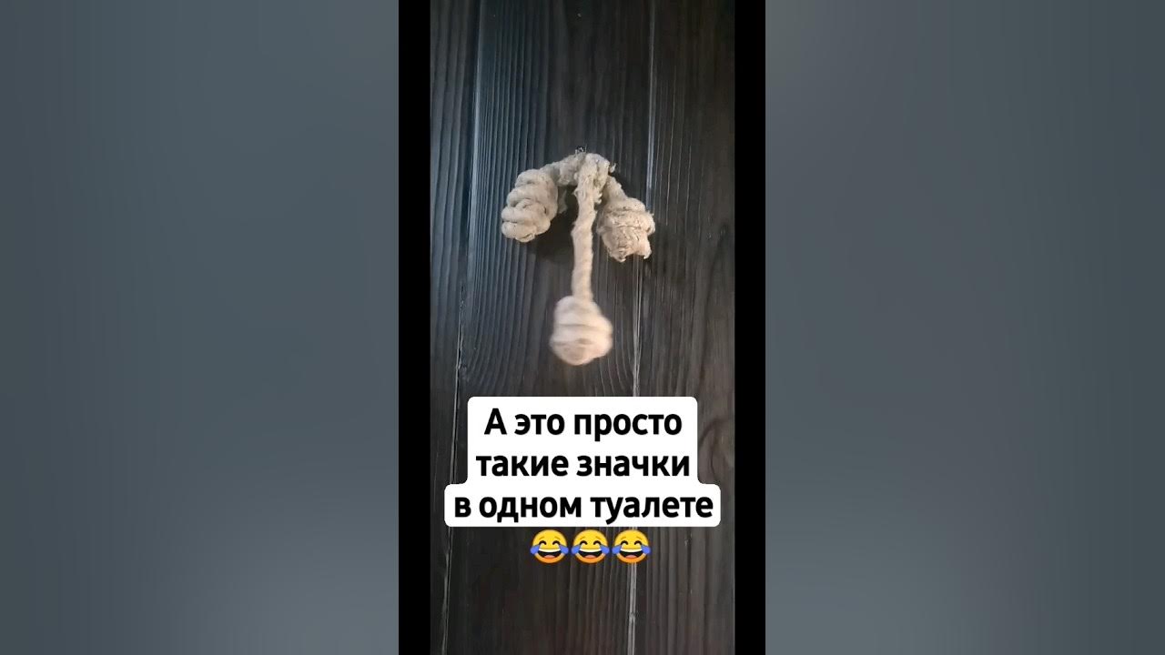Таблички в туалете - YouTube