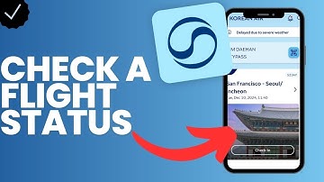 How to check a flight status in Korean Air?