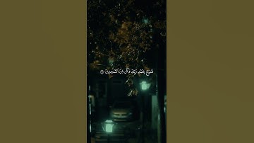 ولقد نعلم أنك يضيق صدرك بما يقولون | الآية 97 من سورة الحجر