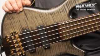 : The Warwick Streamer Stage I 5-String - Product Demo with Andy Irvine