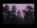 you&#39;re camping in the forest and it&#39;s thunderstorming | tumblr grunge aesthetic | Peaceful People HD