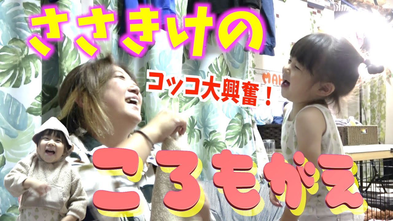 【冬服争奪戦】オチビーズ待望の衣替えシーズン到来！佐々木家の恒例行事にチビ達大興奮！