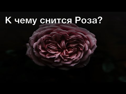 К чему снится роза? Толкование сна и его значение по сонникам Фрейда и Хассе