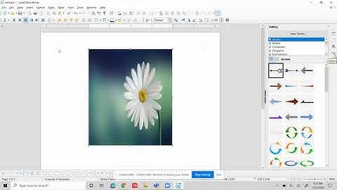 How to add a image, crop a image and more in libreoffice writer