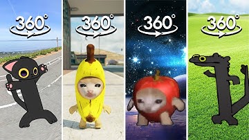 FIND Toothless Dance But Cat Meme COMPILATION | Tootless Dancing Finding Challenge 360º VR Video