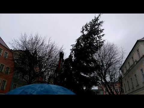 Montaż choinki na