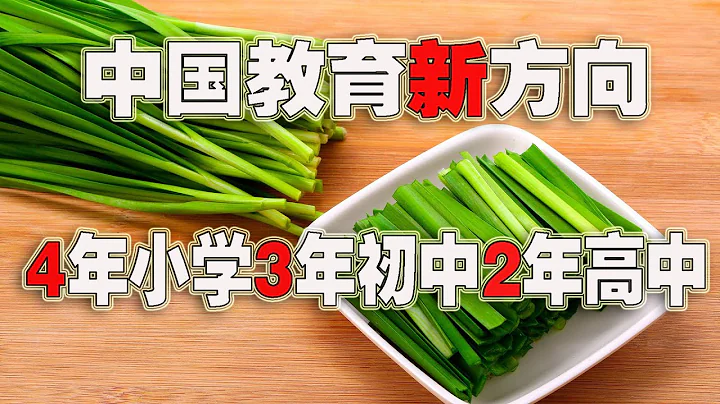 中國教育新方向：4年小學3年初中2年高中，縮短韭材周期(2021-10-18第756期) - 天天要聞