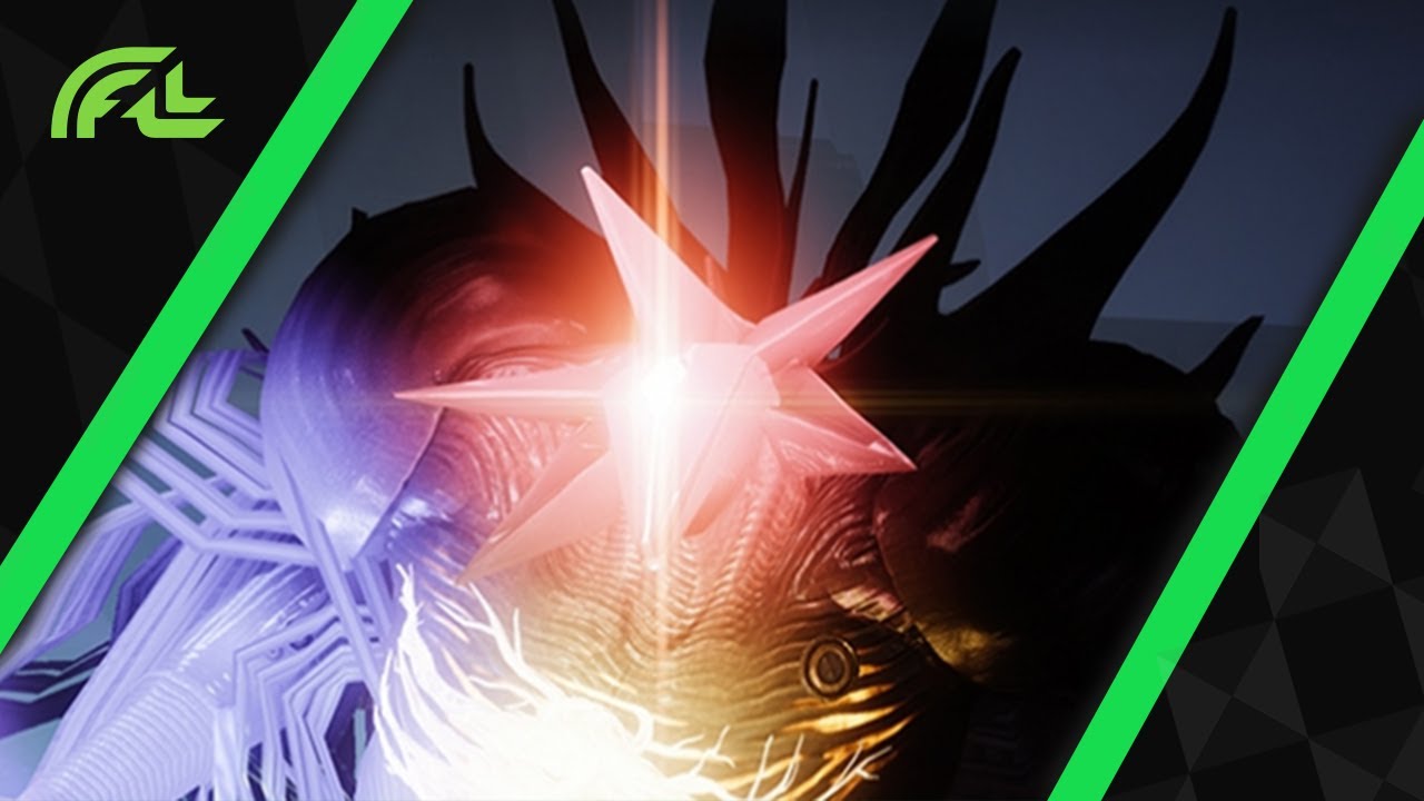 Seasonal Exotic Rotator And What That Means For You!