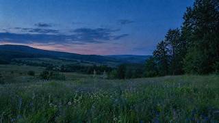1 hour of Mitski (playlist)