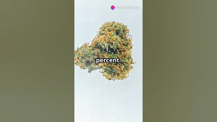 Top 10 Strongest Weed Strains Ranked (2025 Update)