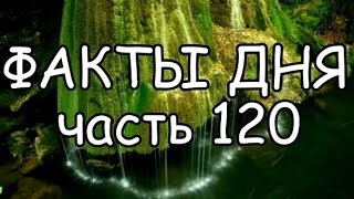 ФАКТЫ ДНЯ. Интересная информация для Вашего ума (Часть 120)