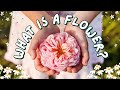 Lets Learn About Flowers Educational Videos For Kids Learn Flowers For Kids