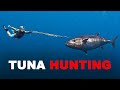 Spearing big tuna in remote indonesia