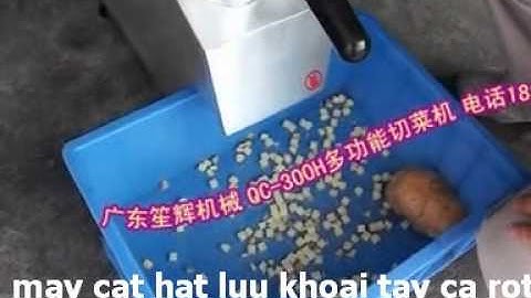 máy cắt hạt lựu khoai tây cà rốt, máy thái lát thái sợi, máy thái hạt lựu củ quả