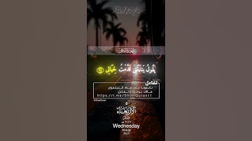 "تلاوة عذبة وخاشعة بصوت الشيخ ياسر الدوسري| قرآن كريم يلامس القلوب ويبعث الطمأنينة ✨#ياسر_الدوسري