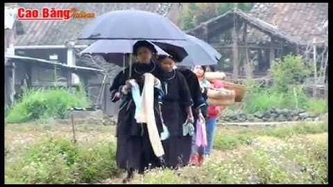 Đám cưới người Nùng An ở Phúc Sen [Báo Cao Bằng]