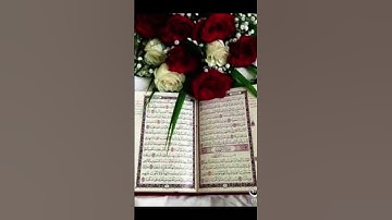 #تلاوة_هادئة #تلاوة_خاشعة #اسلام_صبحي #إسلام_صبحي #سورة_المؤمنون #قرآن_كريم #القرآن_الكريم #اكسبلور