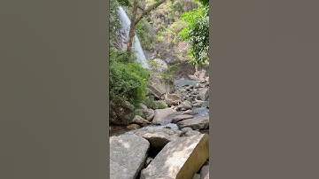 Thác nước tuyệt đẹp ẩn mình dưới tán lá rừng #shorts