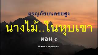 ๗๖. นางไม้ในหุบเขา ตอน ๑ ผจญภัยบนดอยสูง