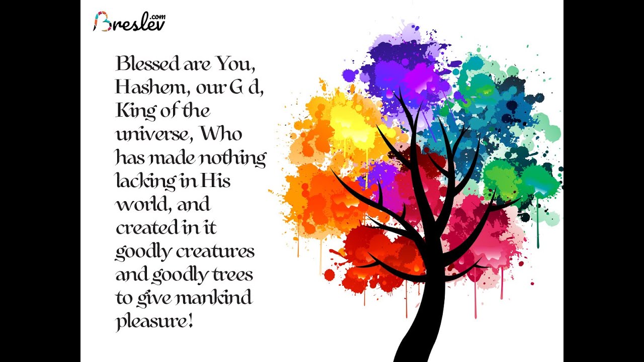 Daily Halachic Corner - 336 - Pesach 2021 - Rav Dayan Elgrod!