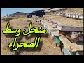 تفقد المنحل الجديد في صحراء الأردن هل تنجح خلايا النحل في هذا التحدي تفقد المنحل الجديد في صحراء الأردن هل تنجح خلايا النحل في هذا التحدي